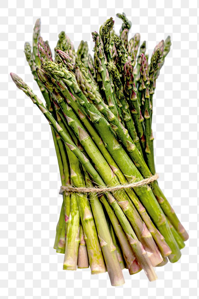 PNG Asparagus tied in a bundle, collage element, transparent background