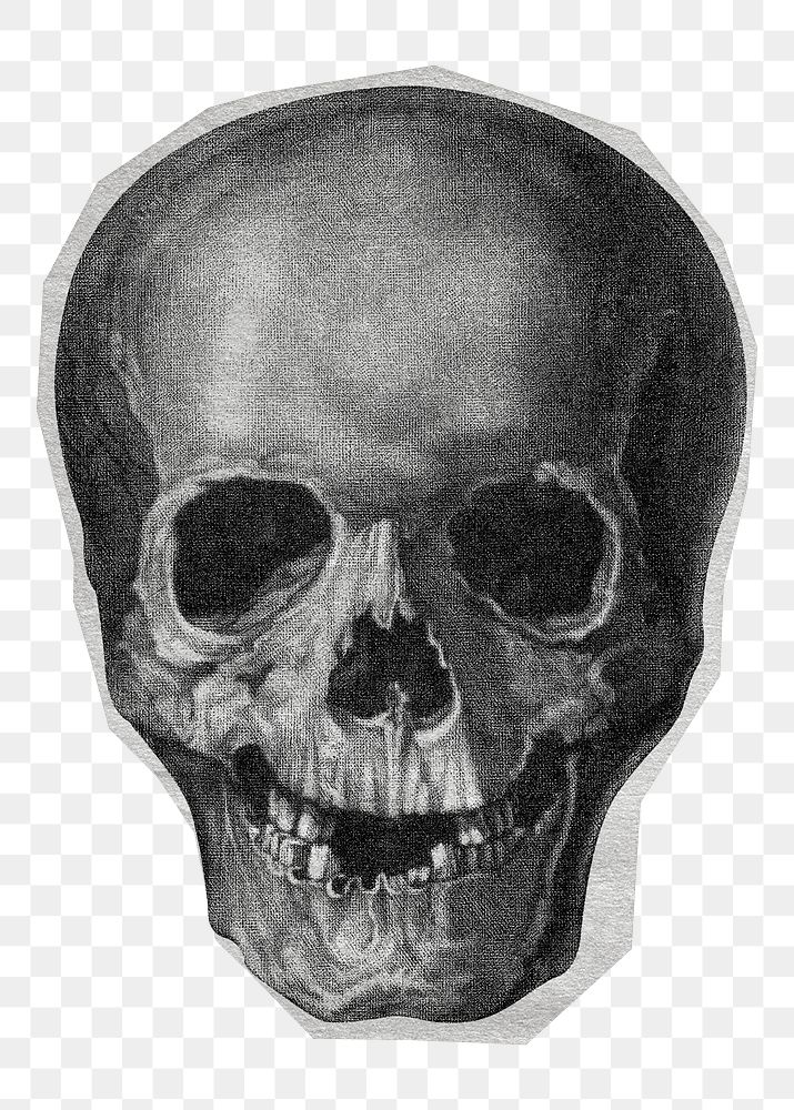 Vintage skull png sticker, transparent background