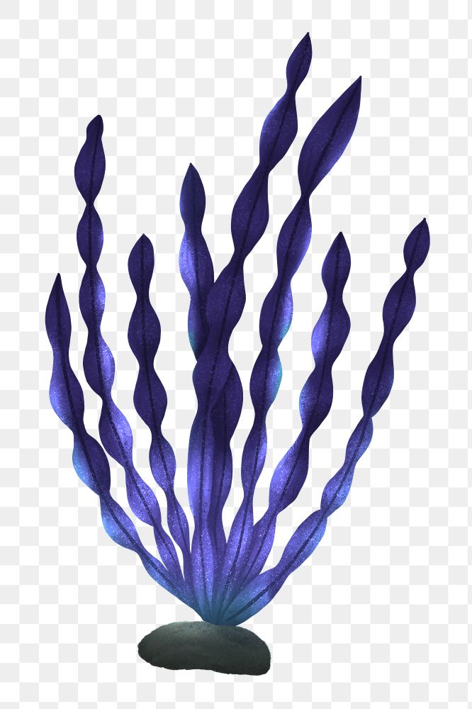 Purple ocean plant png sticker, nature illustration, transparent background