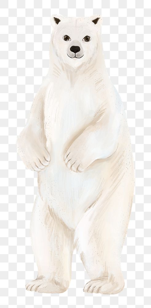 Polar bear png sticker, animal illustration, transparent background