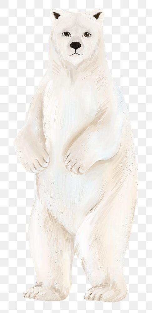 Lonely polar bear png sticker, animal illustration, transparent background