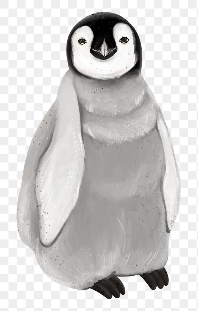 Baby penguin png sticker, animal illustration, transparent background
