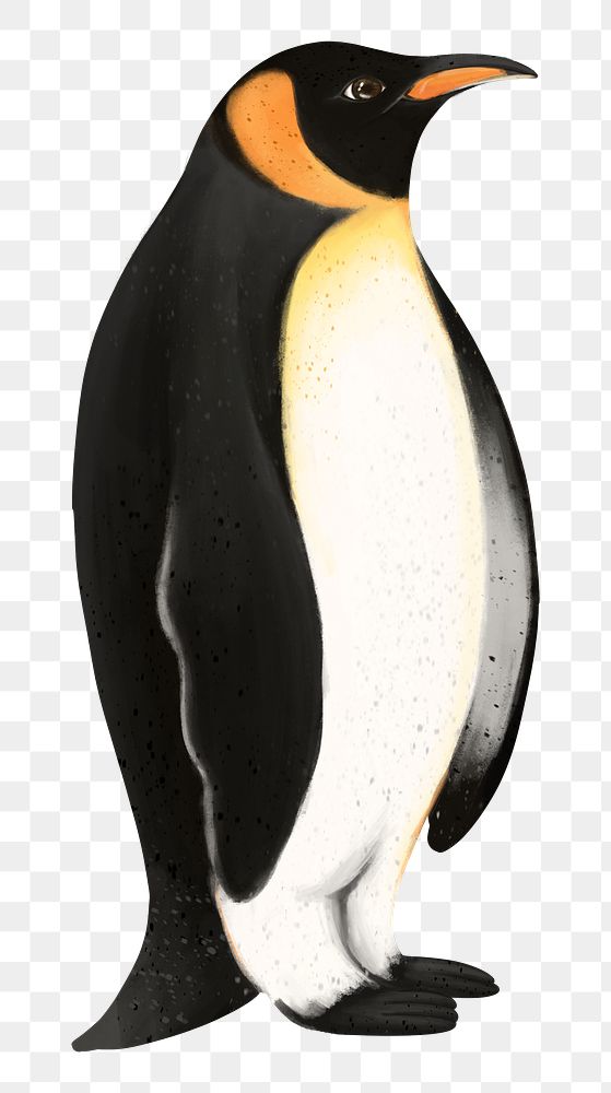 Emperor Penguin png sticker, animal illustration, transparent background