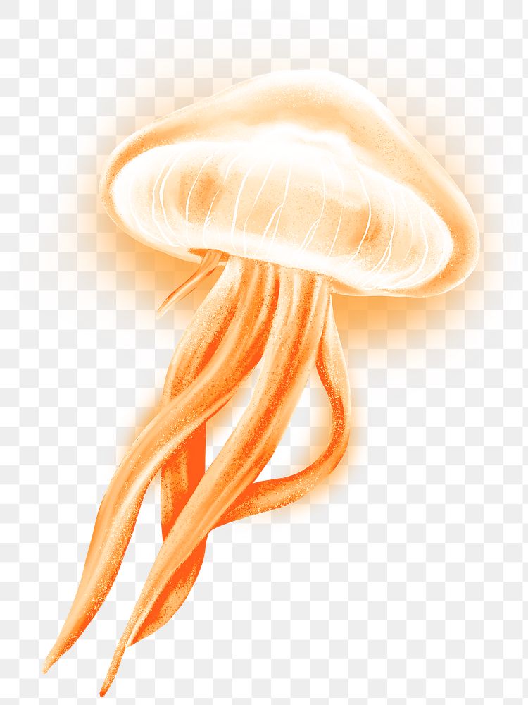 Neon orange jellyfish png sticker, animal illustration, transparent background