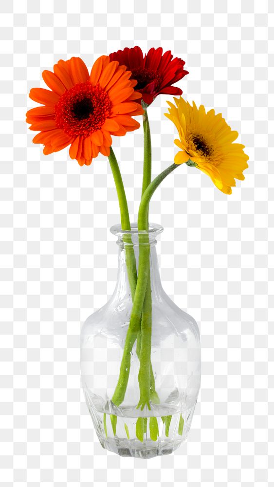 Daisy flower vase png, transparent background