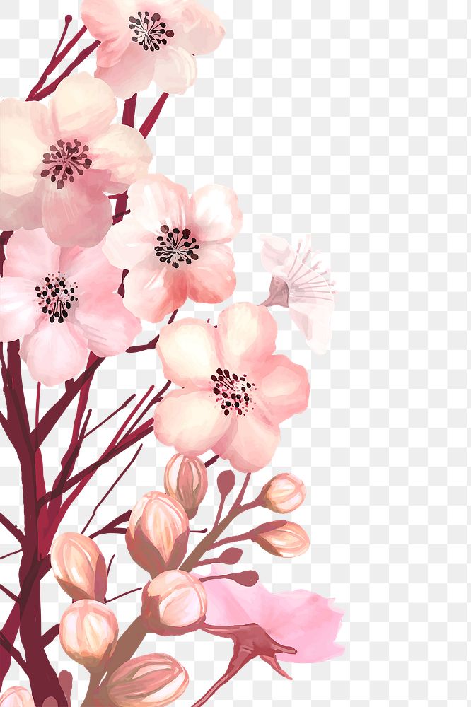 Cherry blossom png border, transparent background
