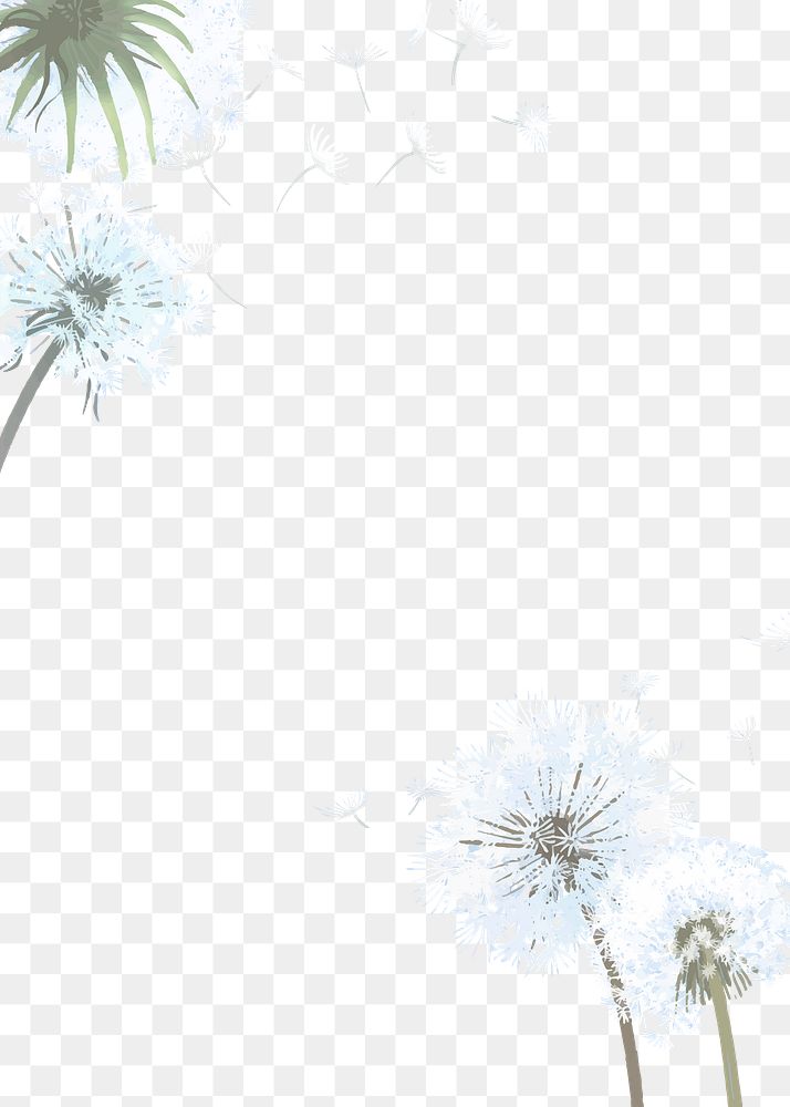 Dandelions png border, transparent background