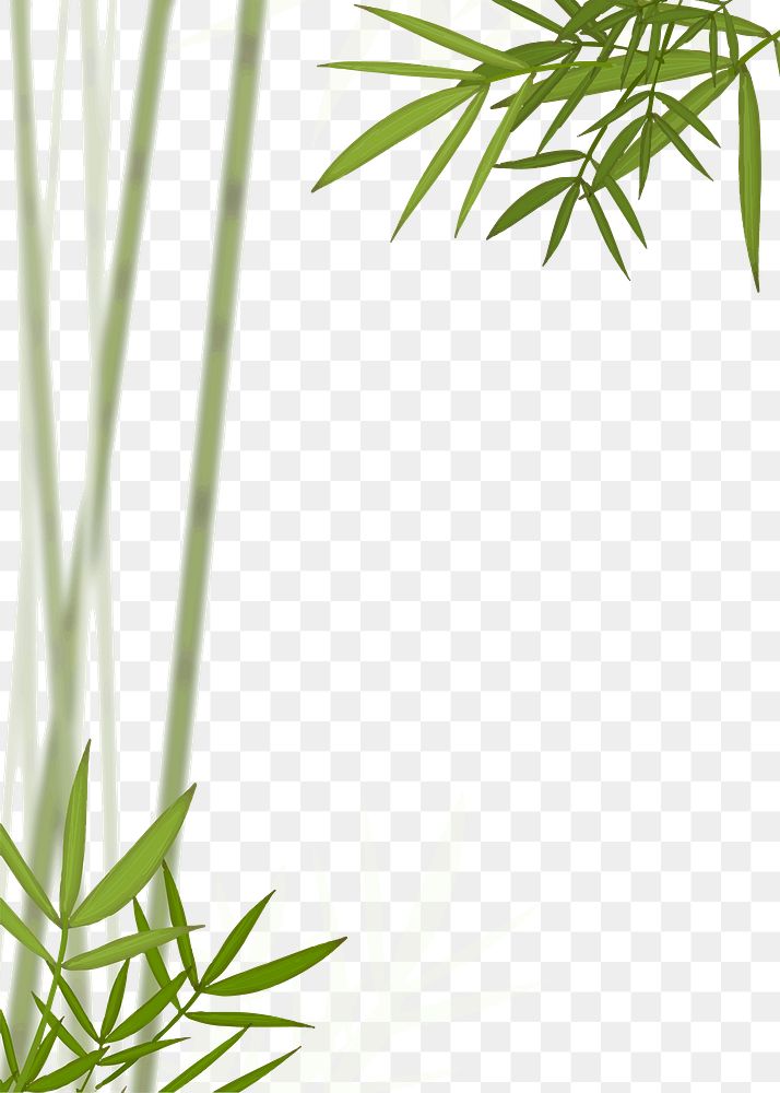 Bamboo png border, transparent background