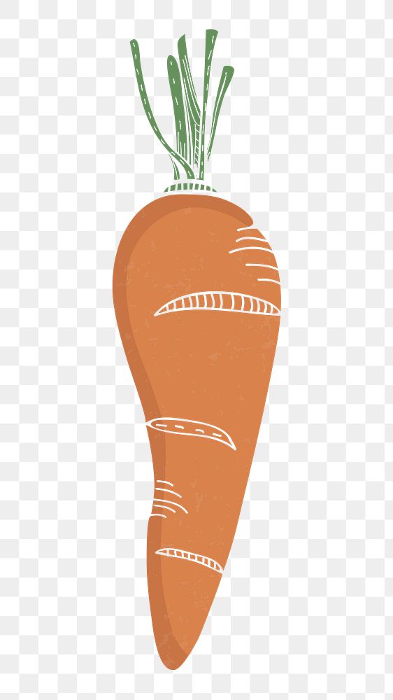 Carrot png vegetable sticker, transparent background