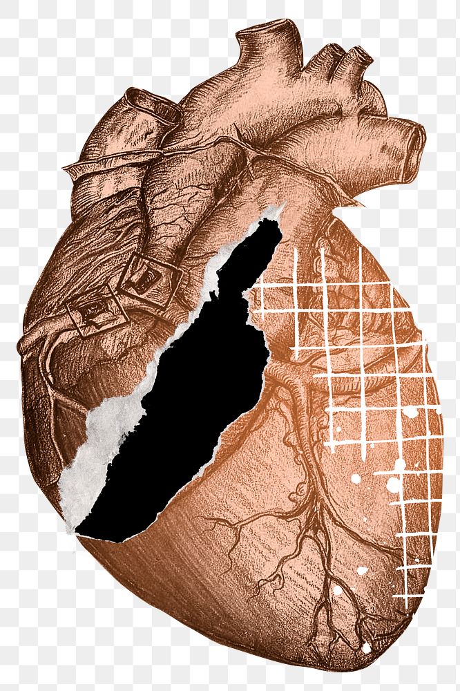 Human heart ripped paper png, transparent background