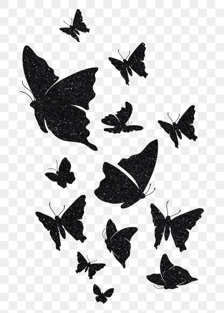 Butterfly silhouette png, transparent background