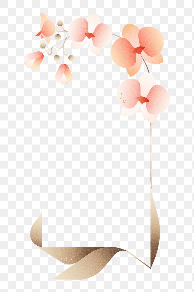 Png orchid flower arch border, transparent background