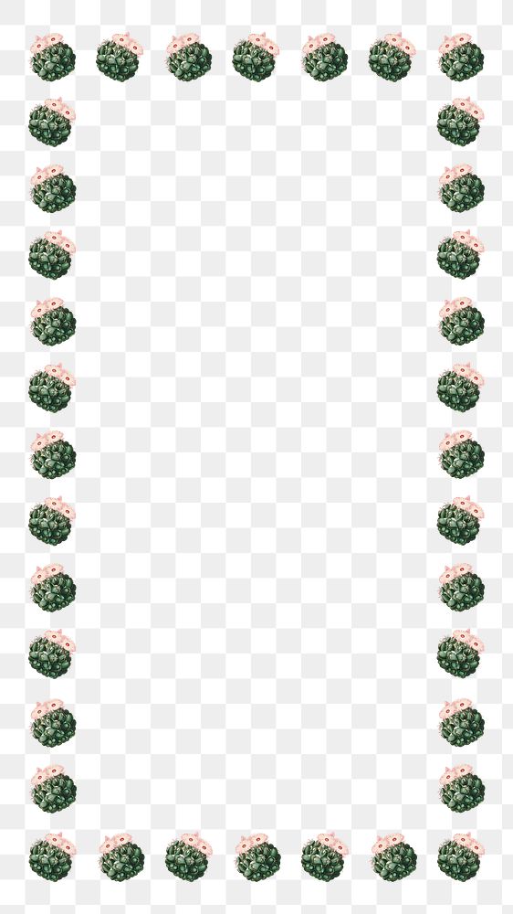 Cactus pattern png rectangle frame, transparent background