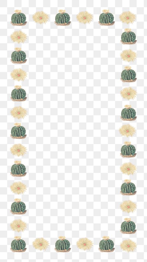 Cactus pattern png rectangle frame, transparent background