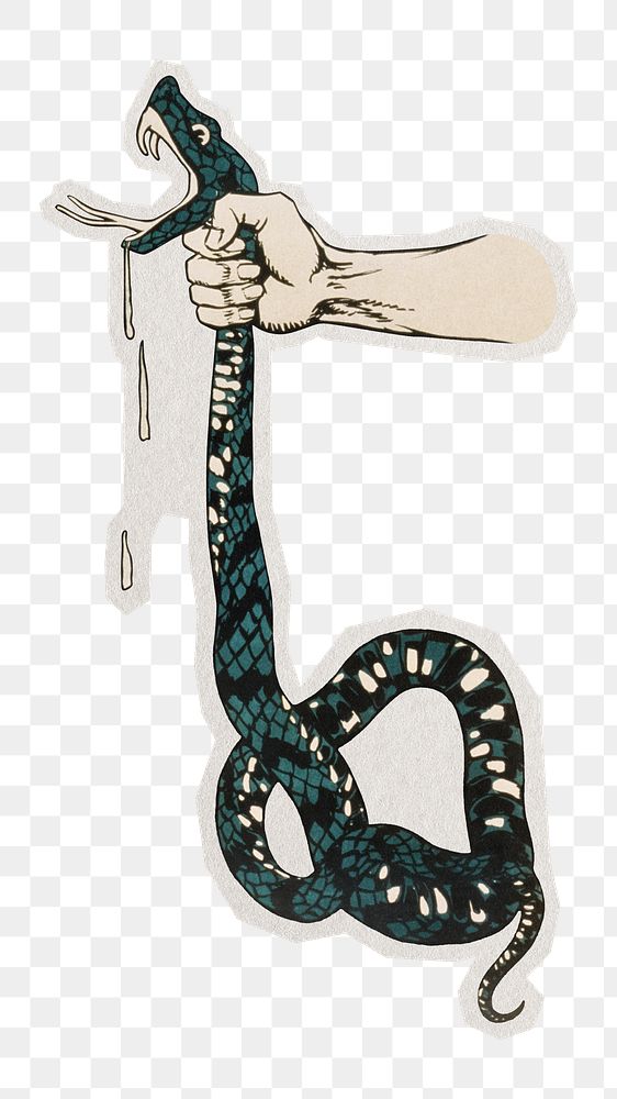 PNG hand squeezing venomous snake's neck sticker with white border,  transparent background.