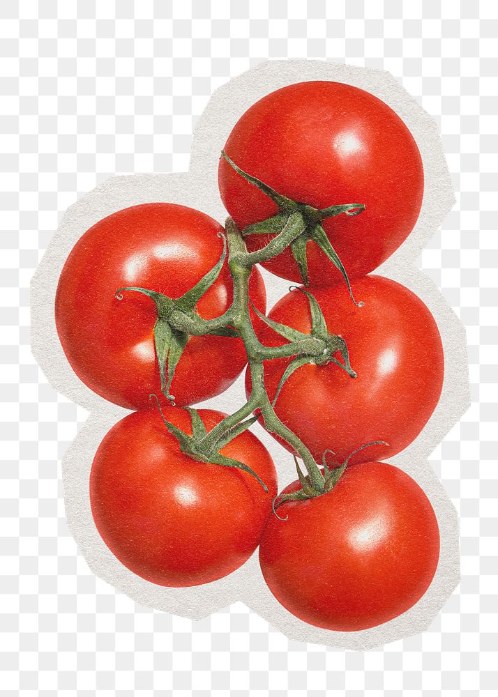 PNG tomatoes sticker with white border, transparent background