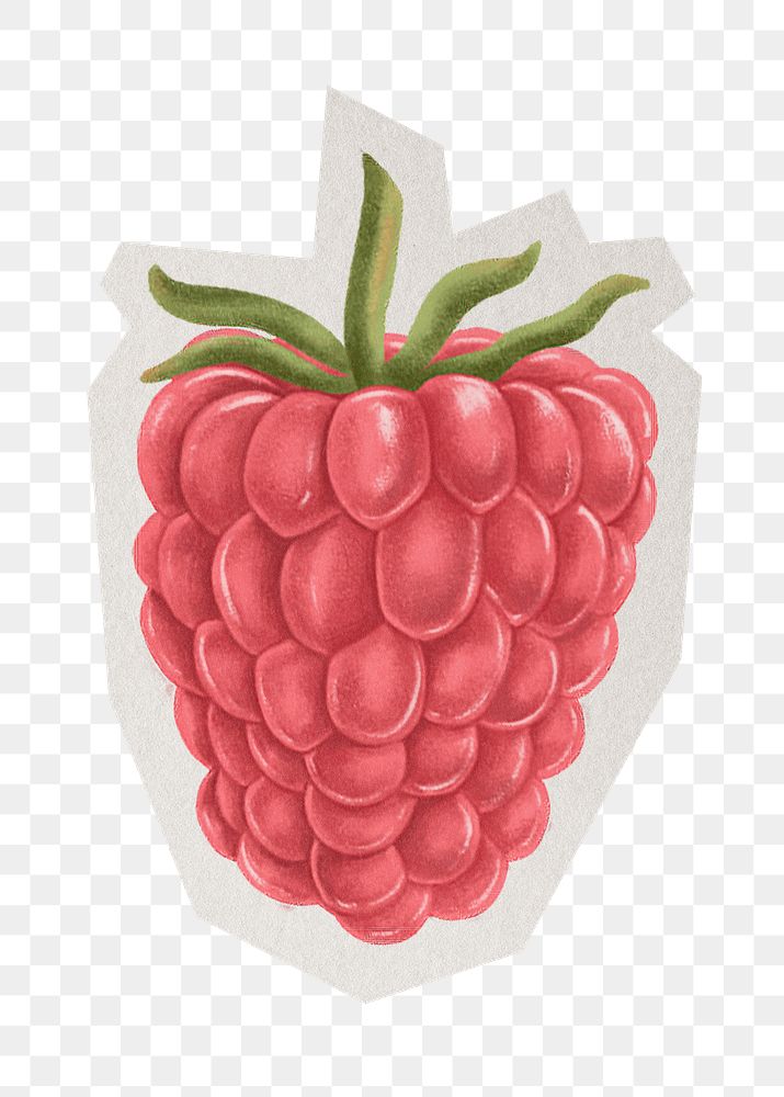 PNG realistic raspberry sticker white border, transparent background