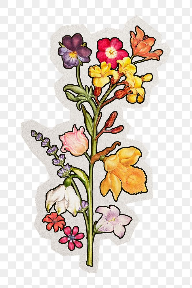 PNG colorful flower spring sticker with white border, transparent background