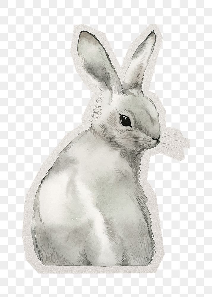 PNG Easter bunny sticker with white border, transparent background