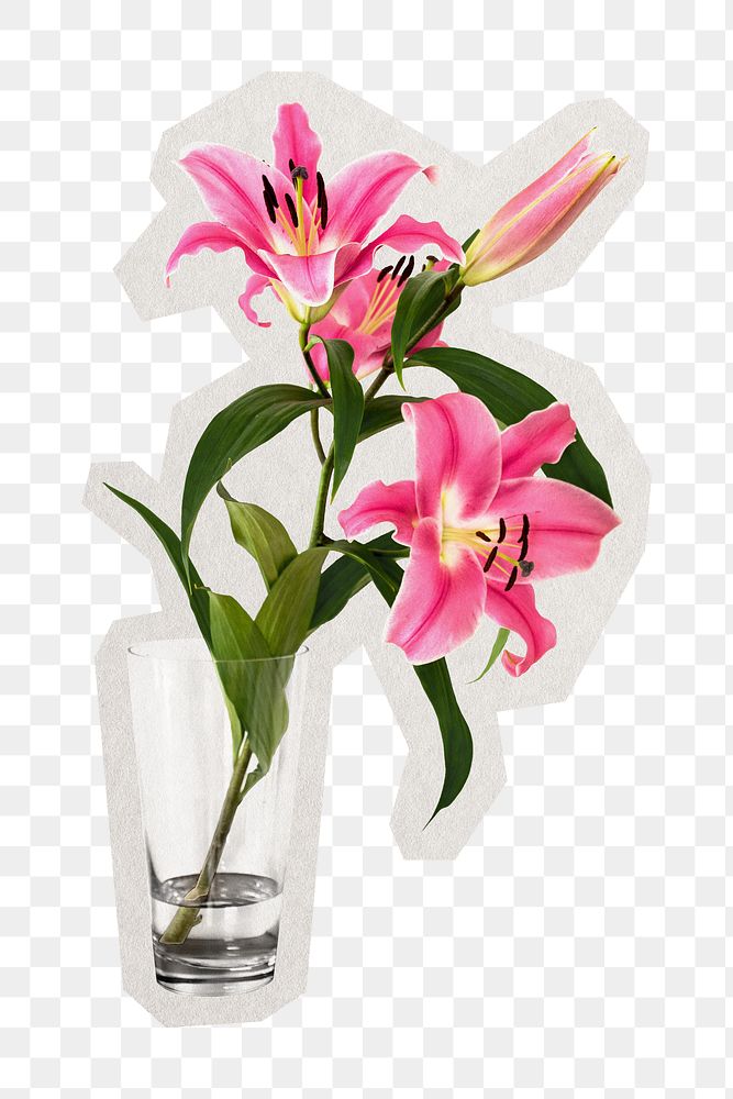 PNG pink lily sticker with white border, transparent background