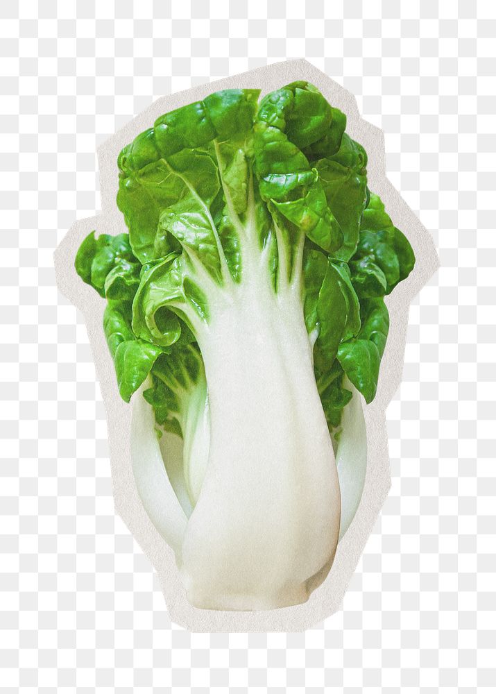 Bokchoi png sticker, paper cut on transparent background