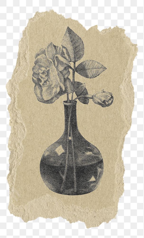 PNG Rose flower vintage illustration, ripped paper transparent background. Remixed by rawpixel.