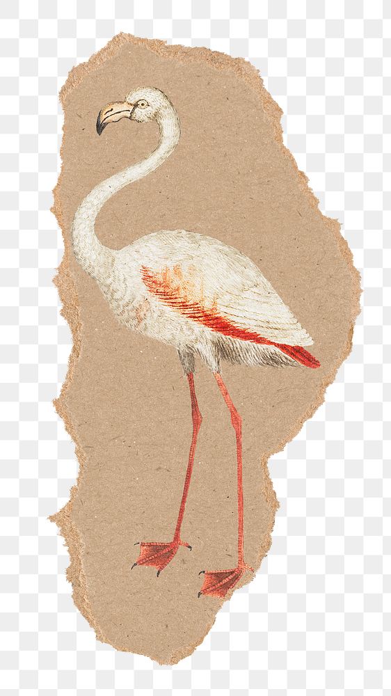 PNG Vintage flamingo illustration, ripped paper transparent background. Remixed by rawpixel.