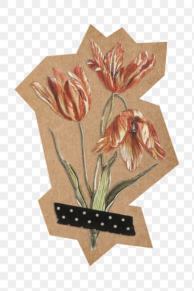 Tulip flowers png, cut out paper element, transparent background