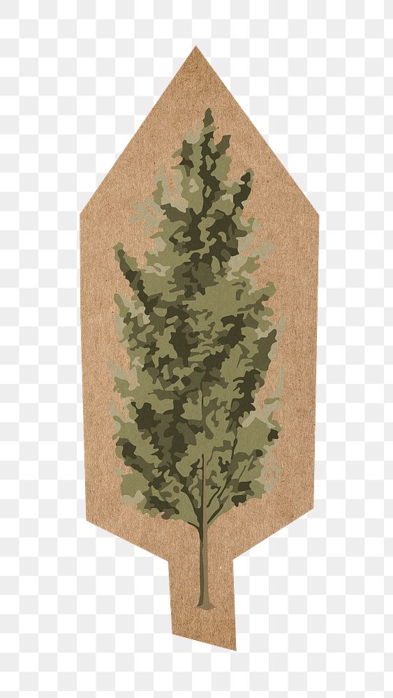 Spruce tree png, cut out paper element, transparent background