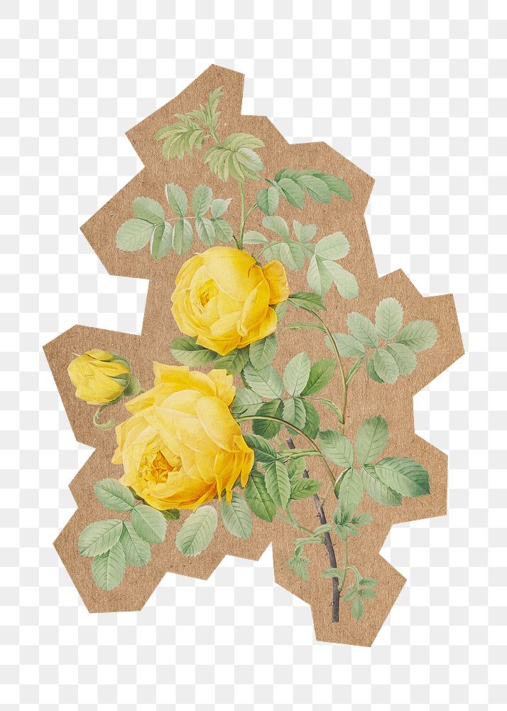 Yellow rose png, cut out paper element, transparent background. Artwork from Pierre Joseph Redouté remixed by rawpixel.