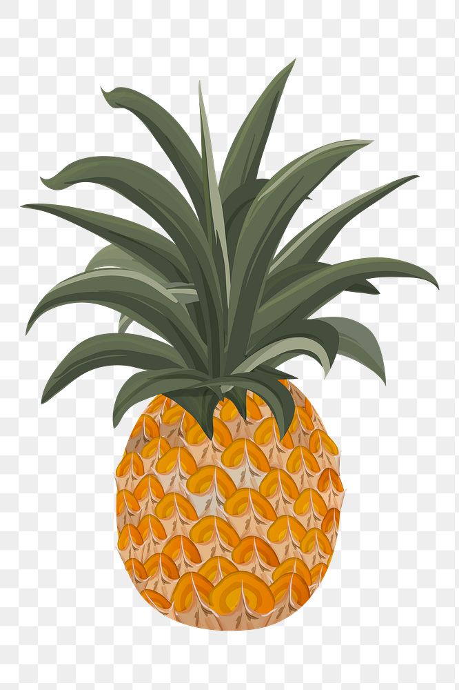 Png Pineapple Tropical Fruit element, transparent background