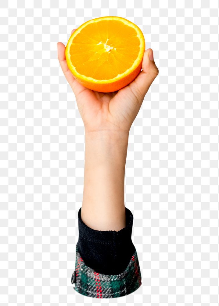 Hand holding png orange transparent background