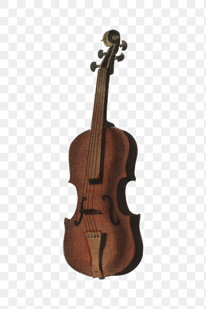 Viola violin png vintage illustration on transparent background