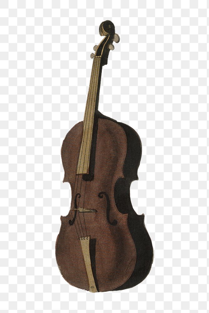 Png viola violin vintage illustration, music instrument on transparent background