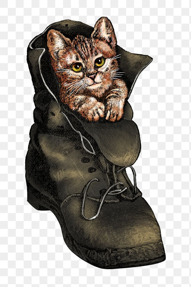 Cat in a boot png, funny animal vintage illustration, transparent background. Remixed by rawpixel.