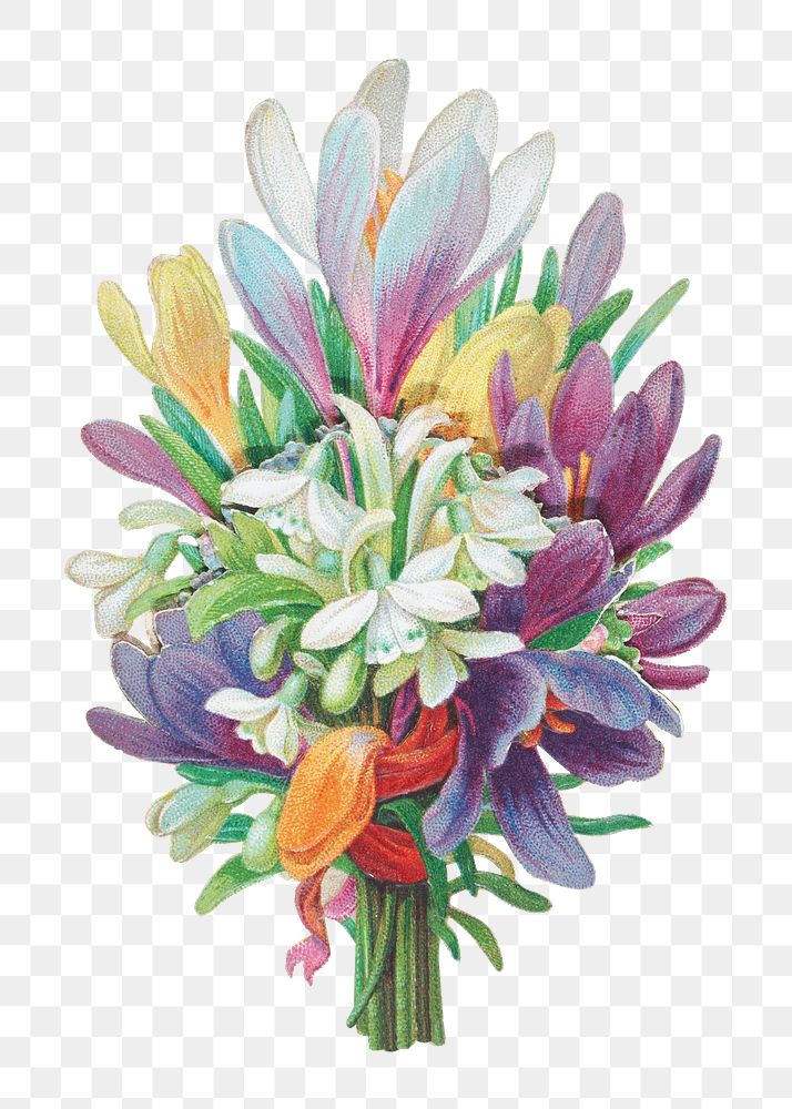 Colorful flower bouquet png, vintage botanical illustration, transparent background. Remixed by rawpixel.