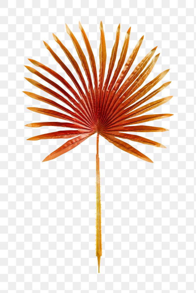 PNG Red dyed palm leaf sticker, transparent background