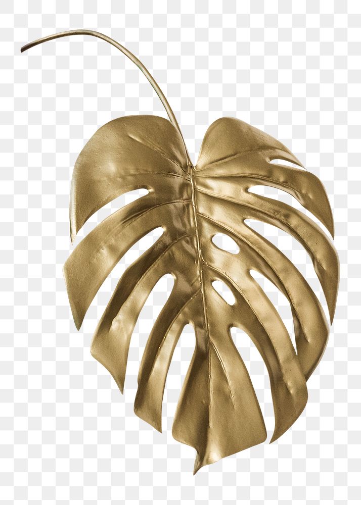 Png golden monstera leaf on transparent background