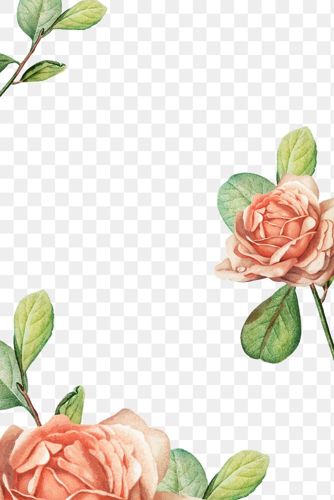 Aesthetic rose png border, transparent background