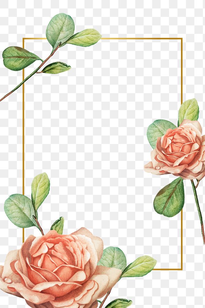 Png aesthetic floral frame, transparent background