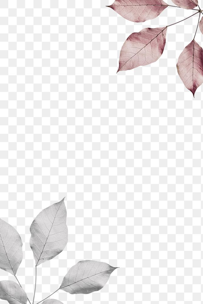 Leaf border png element, transparent background