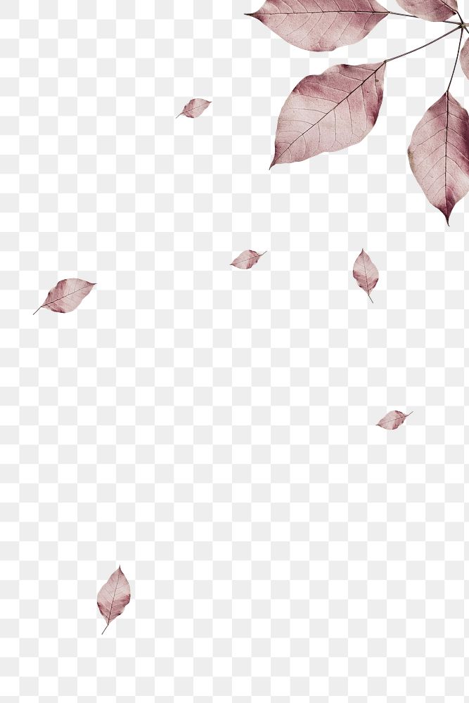 Leaf border png element, transparent background