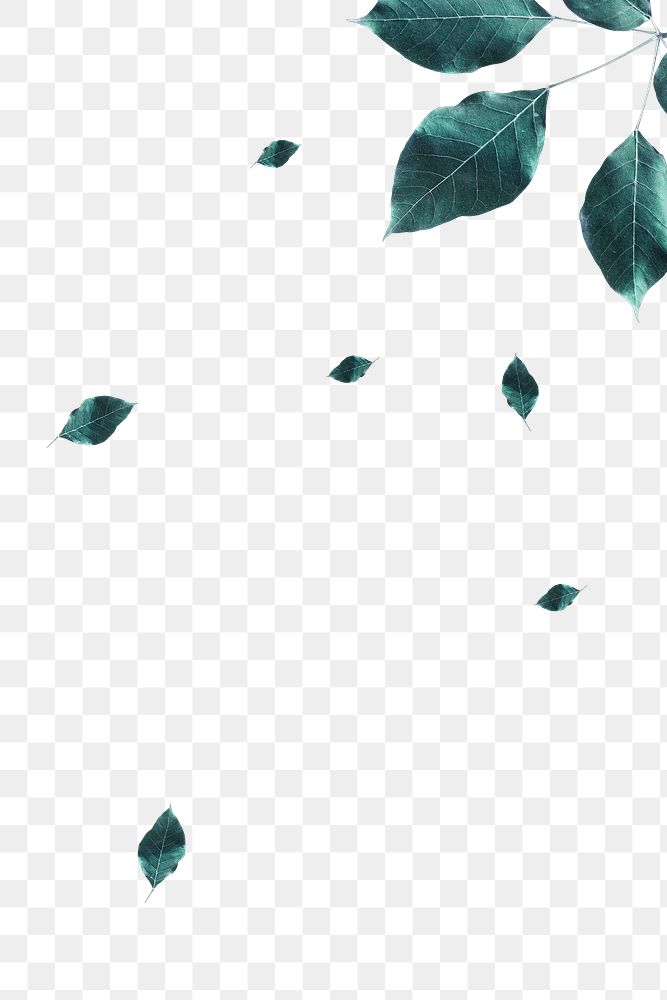 Leaf border png element, transparent background