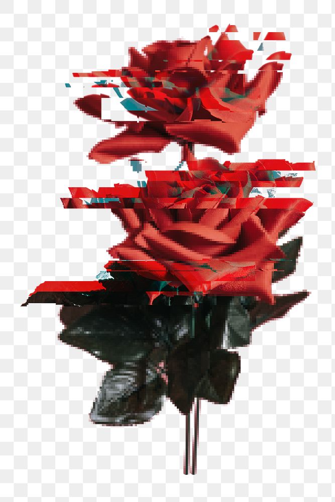 PNG Red rose with glitch effect, collage element on transparent background