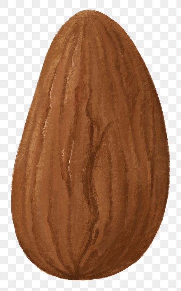 Almond seed png food, transparent background