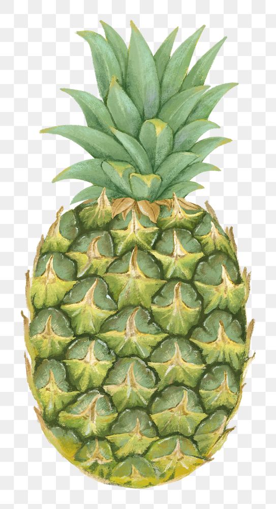 Pineapple fruit png sticker, healthy food, transparent background