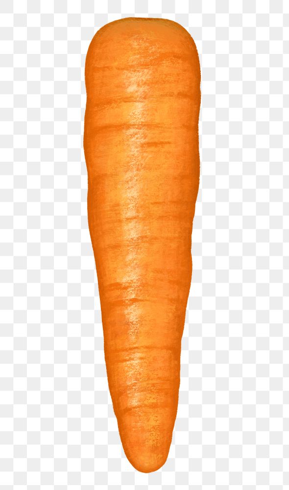 Carrot vegetable png sticker, healthy food, transparent background