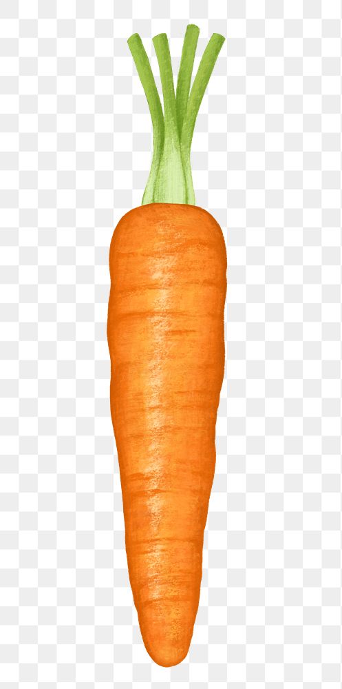 Carrot vegetable png sticker, healthy food, transparent background