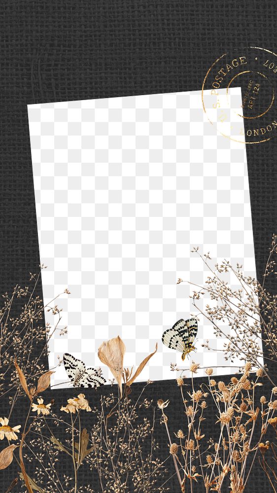 Autumn aesthetic png frame, leaf branch and butterfly collage, transparent design