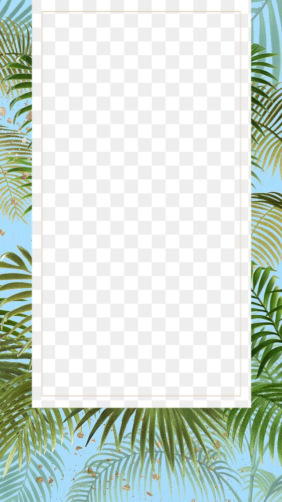 Tropical palm trees png frame, transparent design